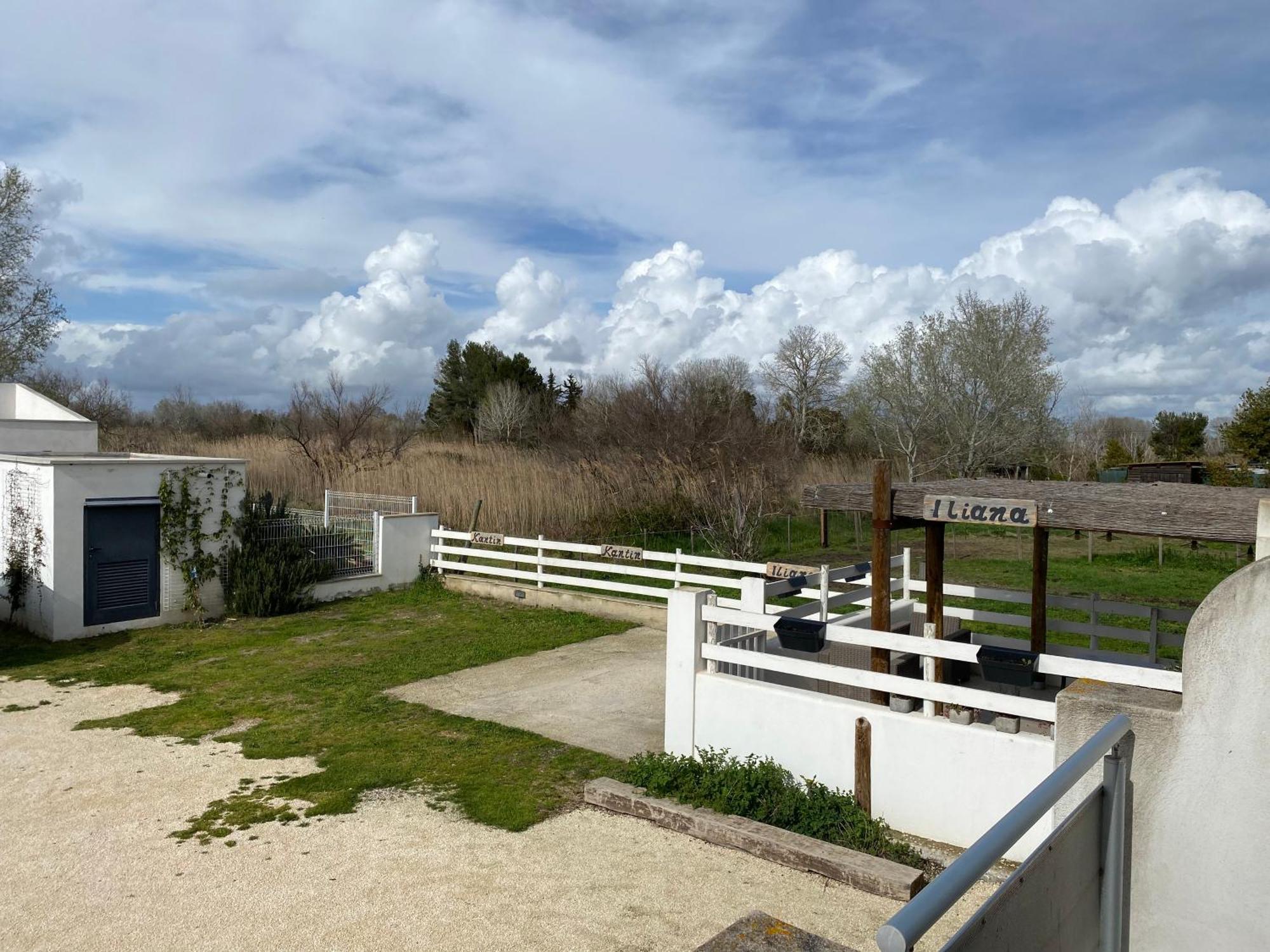 Les Maisons Du Paty Arles Eksteriør bilde